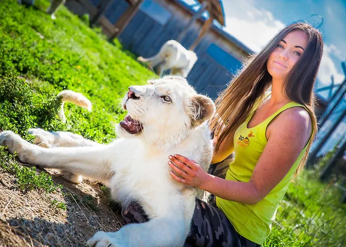 Chalet Chata Lucia 112